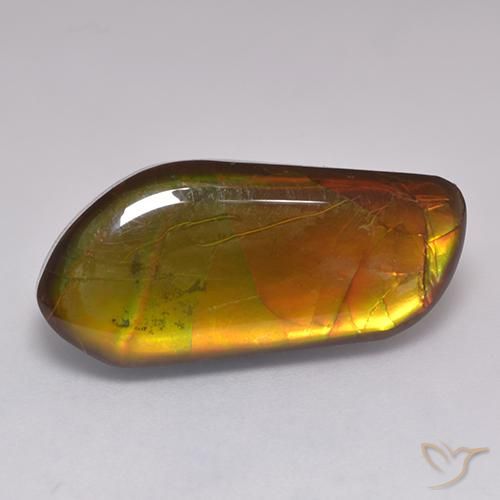 13.43ct Naturale Multicolore Ammolite, Taglio a fantasia, Opaco