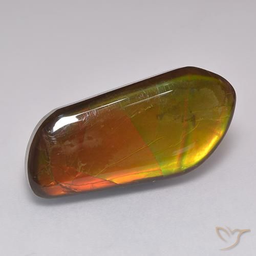 Ammolite Multicolore naturale da 13.43 ct, Taglio a fantasia, Opaco