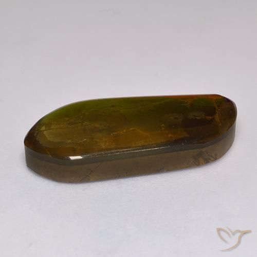 Ammolite Multicolore naturale da 13.43 ct, Taglio a fantasia, Opaco