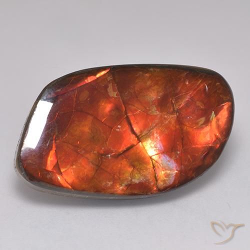 20.30ct Naturale Multicolore Ammolite, Taglio a fantasia, Opaco