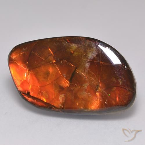 Ammolite Multicolore naturale da 20.30 ct, Taglio a fantasia, Opaco