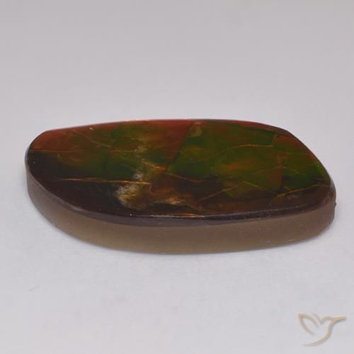Ammolite Multicolore naturale da 20.30 ct, Taglio a fantasia, Opaco