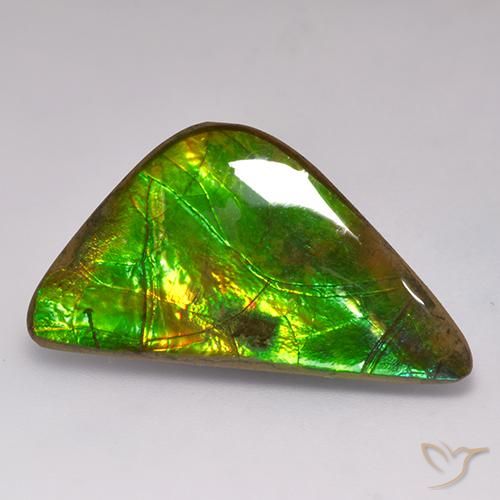 17.71ct Naturale Multicolore Ammolite, Taglio a fantasia, Opaco