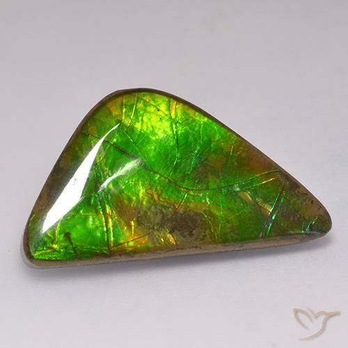 Ammolite Multicolore naturale da 17.71 ct, Taglio a fantasia, Opaco