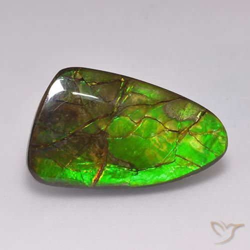 19.72ct Naturale Multicolore Ammolite, Taglio a fantasia, Opaco
