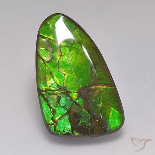 Ammolite Multicolore naturale da 19.72 ct, Taglio a fantasia, Opaco