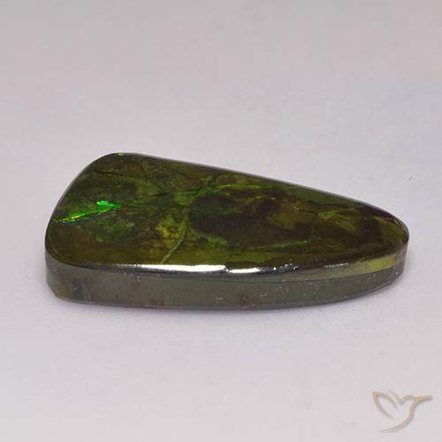 Ammolite Multicolore naturale da 19.72 ct, Taglio a fantasia, Opaco