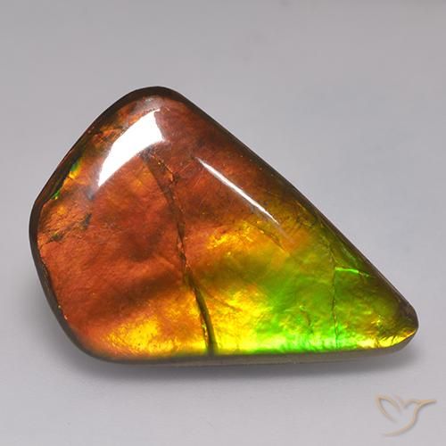 20.30ct Naturale Multicolore Ammolite, Taglio a fantasia, Opaco