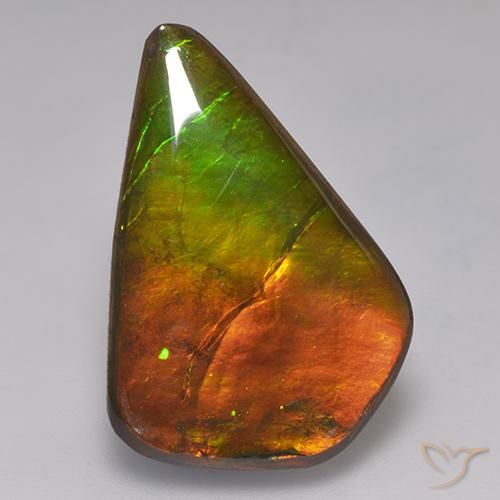 Ammolite Multicolore naturale da 20.30 ct, Taglio a fantasia, Opaco