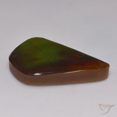 Ammolite Multicolore naturale da 20.30 ct, Taglio a fantasia, Opaco