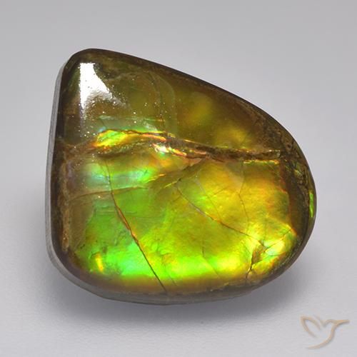 10.46ct Naturale Multicolore Ammolite, Taglio a fantasia, Opaco