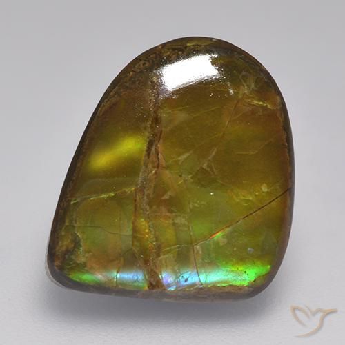 Ammolite Multicolore naturale da 10.46 ct, Taglio a fantasia, Opaco