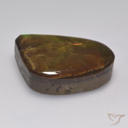 Ammolite Multicolore naturale da 10.46 ct, Taglio a fantasia, Opaco