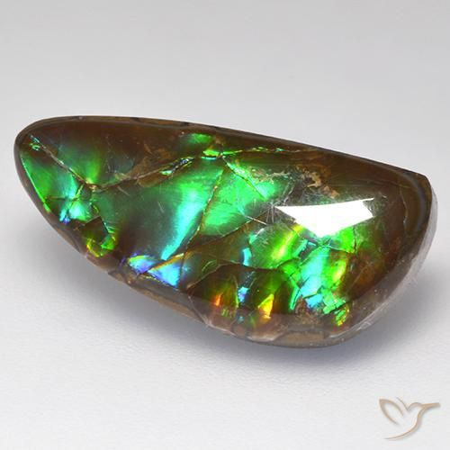 Ammolite Multicolore naturale da 10.29 ct, Taglio a fantasia, Opaco