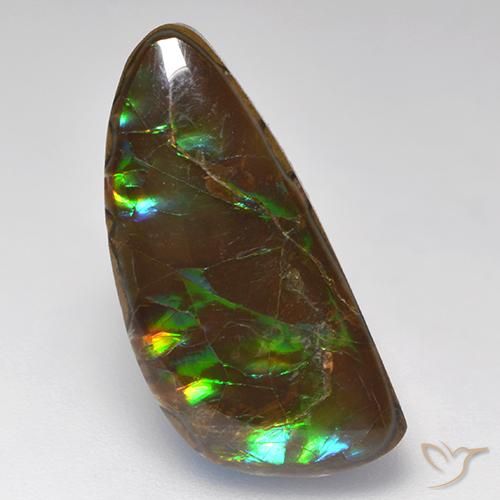 Ammolite Multicolore naturale da 10.29 ct, Taglio a fantasia, Opaco