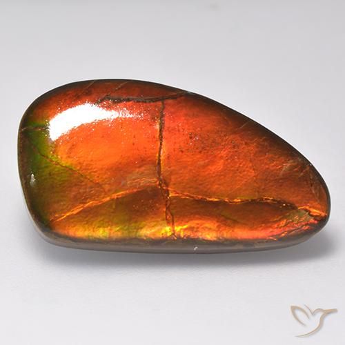 16.93ct Naturale Multicolore Ammolite, Taglio a fantasia, Opaco