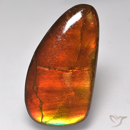 Ammolite Multicolore naturale da 16.93 ct, Taglio a fantasia, Opaco
