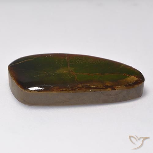 Ammolite Multicolore naturale da 16.93 ct, Taglio a fantasia, Opaco