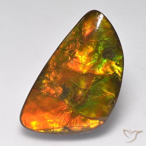 Ammolite multicolore naturale da 14,90 ct, forma fantasia, opaco