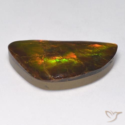 Ammolite multicolore naturale da 14,90 ct, forma fantasia, opaco
