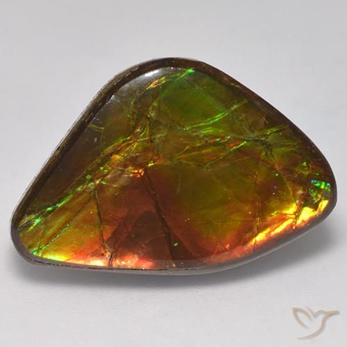 14.18ct Naturale Multicolore Ammolite, Taglio a fantasia, Opaco