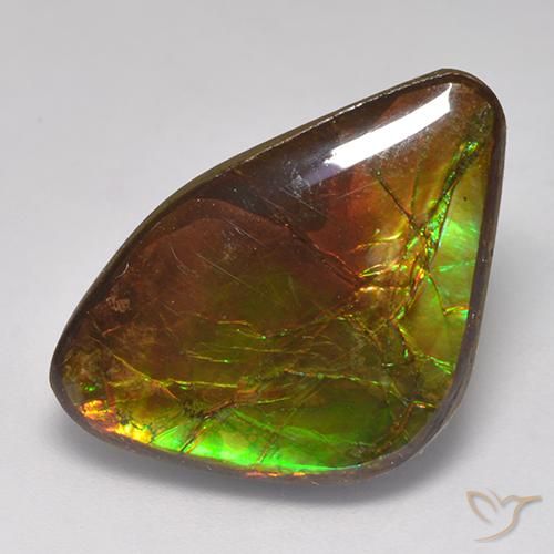 Ammolite Multicolore naturale da 14.18 ct, Taglio a fantasia, Opaco