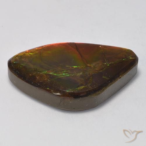 Ammolite Multicolore naturale da 14.18 ct, Taglio a fantasia, Opaco