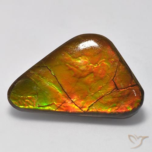 13.81ct Naturale Multicolore Ammolite, Taglio a fantasia, Opaco