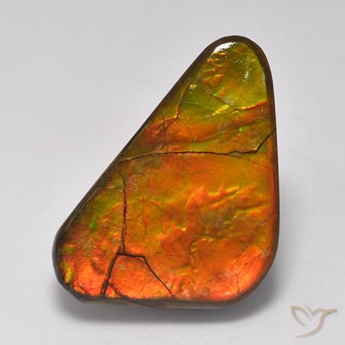 Ammolite Multicolore naturale da 13.81 ct, Taglio a fantasia, Opaco