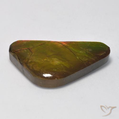 Ammolite Multicolore naturale da 13.81 ct, Taglio a fantasia, Opaco