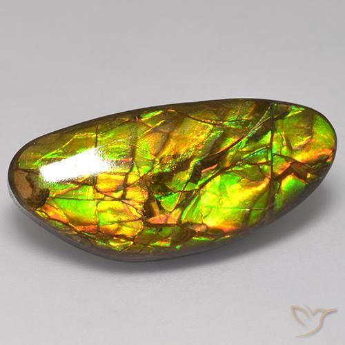 17.56ct Naturale Multicolore Ammolite, Taglio a fantasia, Opaco