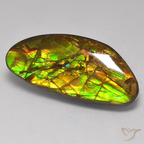 Ammolite Multicolore naturale da 17.56 ct, Taglio a fantasia, Opaco