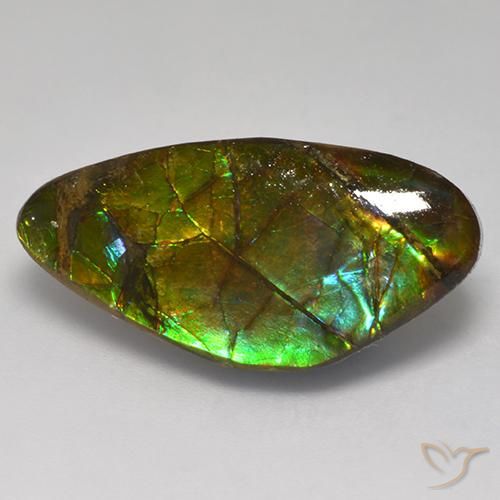 13.97ct Naturale Multicolore Ammolite, Taglio a fantasia, Opaco