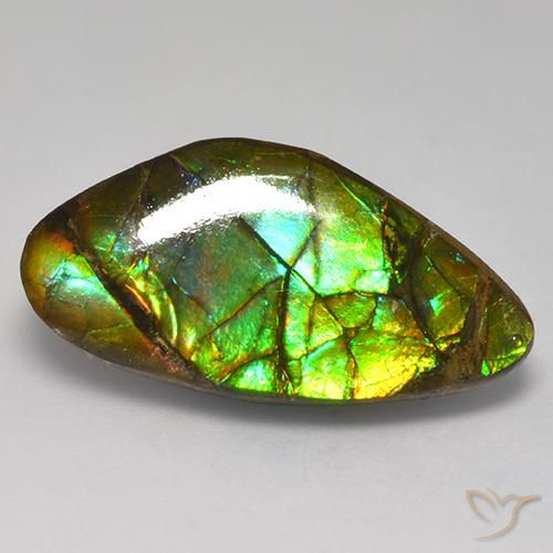 Ammolite Multicolore naturale da 13.97 ct, Taglio a fantasia, Opaco