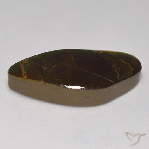 Ammolite Multicolore naturale da 13.97 ct, Taglio a fantasia, Opaco