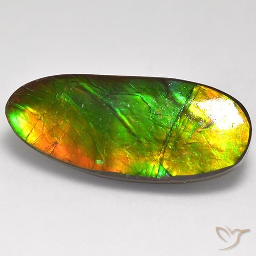 16.31ct Naturale Multicolore Ammolite, Taglio a fantasia, Opaco