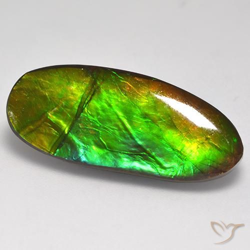 Ammolite Multicolore naturale da 16.31 ct, Taglio a fantasia, Opaco