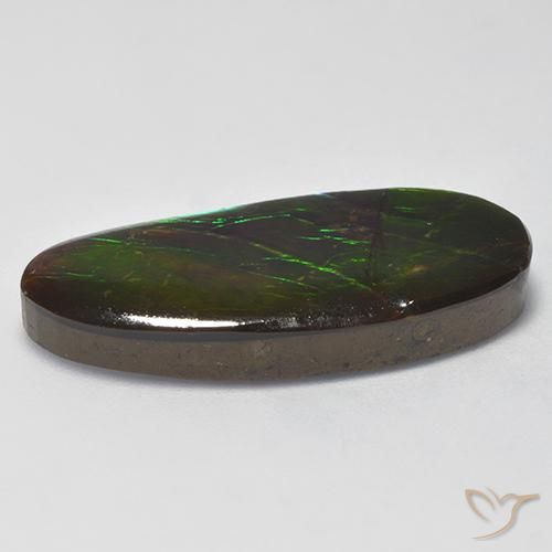 Ammolite Multicolore naturale da 16.31 ct, Taglio a fantasia, Opaco