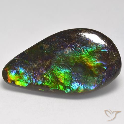 18.05ct Naturale Multicolore Ammolite, Taglio a fantasia, Opaco