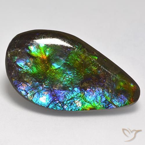 Ammolite Multicolore naturale da 18.05 ct, Taglio a fantasia, Opaco