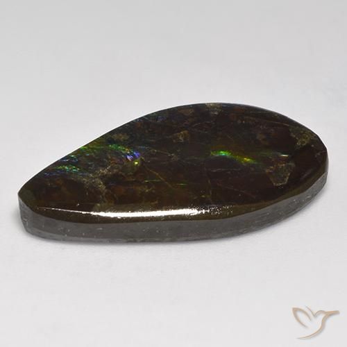 Ammolite Multicolore naturale da 18.05 ct, Taglio a fantasia, Opaco