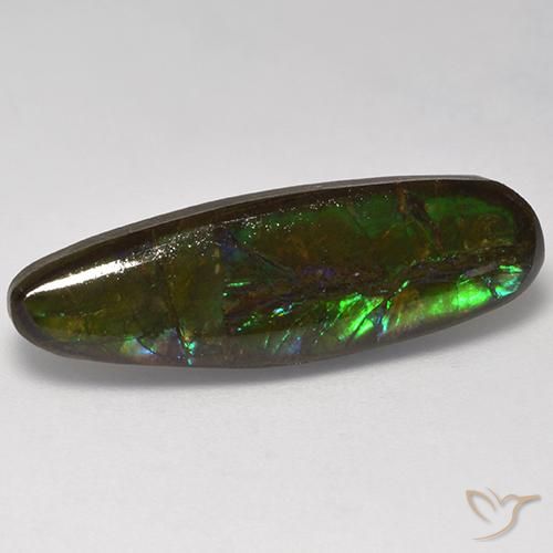 10.95ct Naturale Multicolore Ammolite, Taglio a fantasia, Opaco