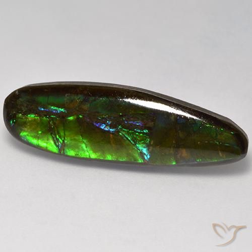 Ammolite Multicolore naturale da 10.95 ct, Taglio a fantasia, Opaco