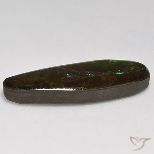 Ammolite Multicolore naturale da 10.95 ct, Taglio a fantasia, Opaco
