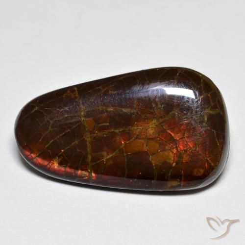 14.44ct Naturale Multicolore Ammolite, Taglio a fantasia, Opaco