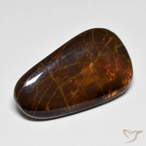 Ammolite Multicolore naturale da 14.44 ct, Taglio a fantasia, Opaco