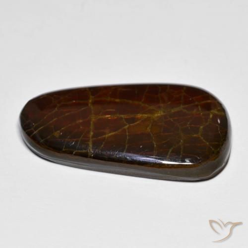 Ammolite Multicolore naturale da 14.44 ct, Taglio a fantasia, Opaco