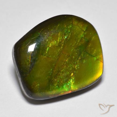 13.07ct Naturale Multicolore Ammolite, Taglio a fantasia, Opaco