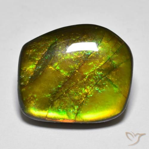 Ammolite Multicolore naturale da 13.07 ct, Taglio a fantasia, Opaco