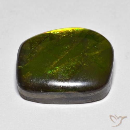 Ammolite Multicolore naturale da 13.07 ct, Taglio a fantasia, Opaco
